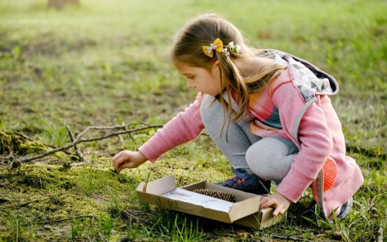 Outdoor Therapy: Harnessing Nature To Boost Family Mental Health